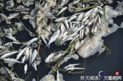 有关南澄的美文美句摘抄