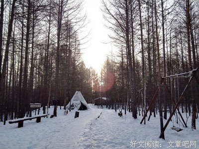 有关魂牵梦萦的美句摘抄