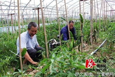 良生的语句摘抄_关于良生的语句