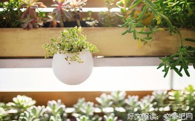 坚强的句子