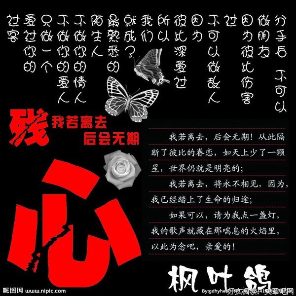 QQ个性签名