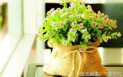 《小情绪》的句子