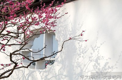 2018影照名言