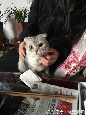 有关水心的名言