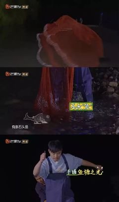 关于汪涵的名言名句