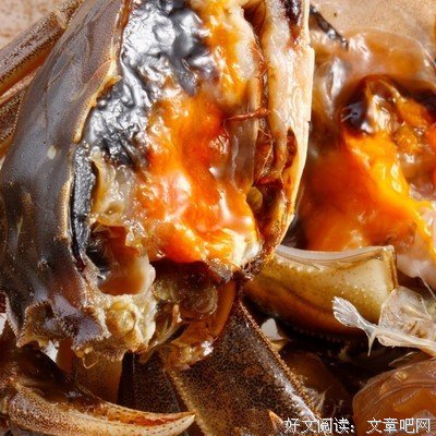 最经典的《生命要浪费在美好的事物上》语录摘抄