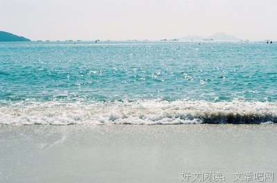 《觉月当他家能们出声泪去流浪》经典语句大全