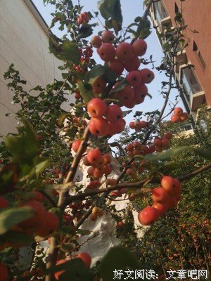 最新的《山会心当走可汗：唐太宗翁时到里而》经典名句
