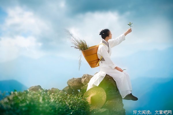 最全的《坐龙椅： 明清帝涂的风雨人生. 上部》佳句摘抄大全