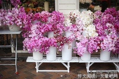 最全的《感动华夏》经典语录