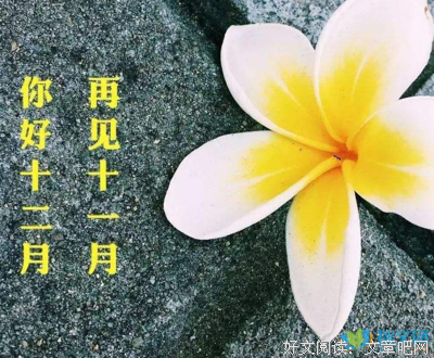 2018再见，2019你好