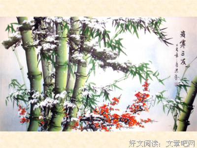 关于咏梅的语句