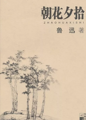 关于可拾的名言