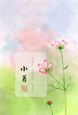 15条关于酸梅的经典语句