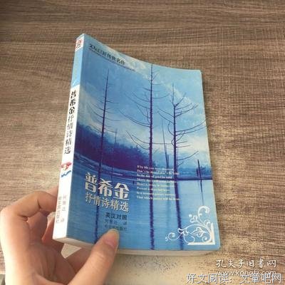 《文坛巨匠》的句子