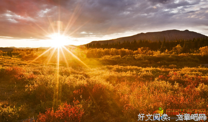 关于泪落成殇的优美句子