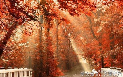 最新的密花x经典名句