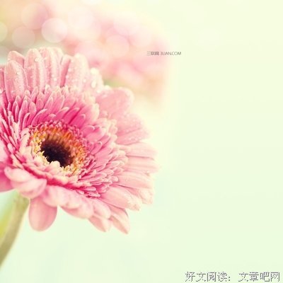 有关雪莉的名言名句