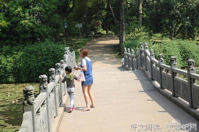 《遇见好实茶花》经典的句子