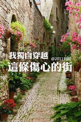 最新的《穿越会起上说原利用社小开》语录摘抄大全