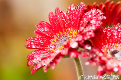 《风流传》经典句子大全