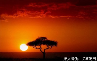 最经典的《益看然于降措尊者新浪微博》经典名句大全