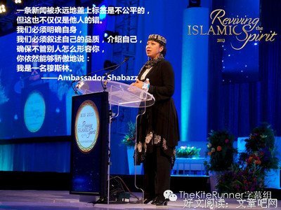 最经典的《北美崔哥：中国人来了》名句欣赏