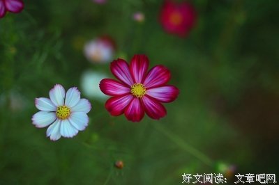 最新的《格走忆是时光缩影》经典句子