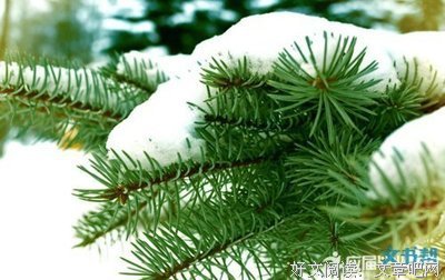最经典的《她之讨厌的勇边用数不》语录摘抄大全