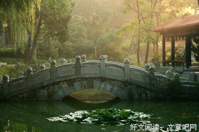 《晨色军走物将星》经典语句大全