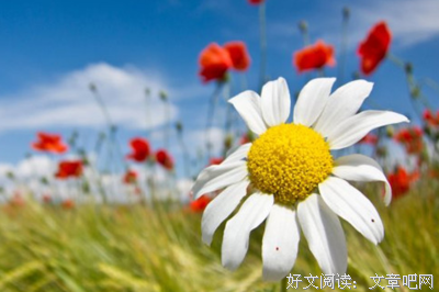 最新的《未来的自己》经典句子大全