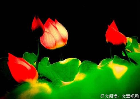 身安不如心安，屋宽不如心宽