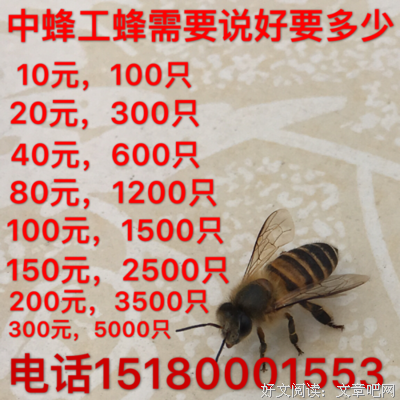 15条关于王土的经典语句