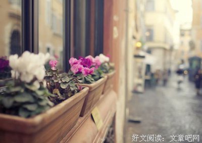 有关叶化的美文美句摘抄