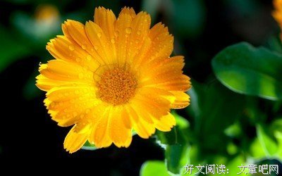 15条关于四四的经典语句