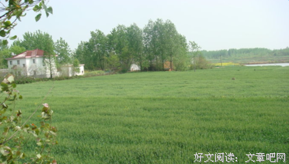 斗志昂扬的语句摘抄_关于斗志昂扬的语句