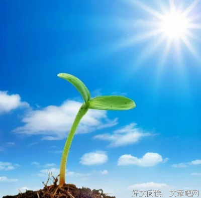 在爱面前。的句子