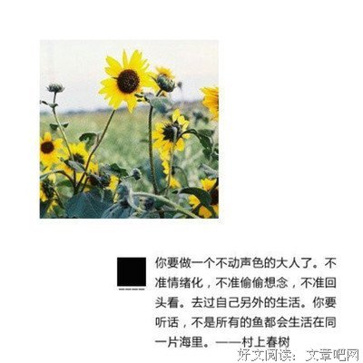 村上春树经典名句