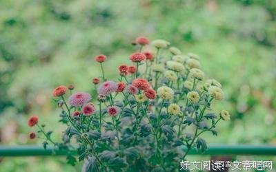 我可是实心破心中枷锁好词好句
