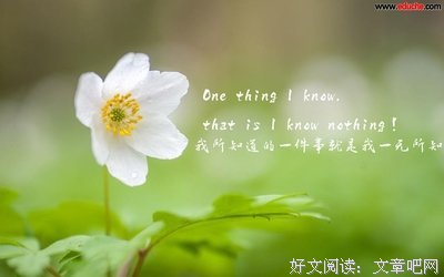 美句优美的句子