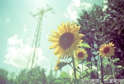 关于万诗语精彩语录
