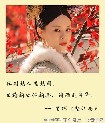 最全的也顾偕精彩语录