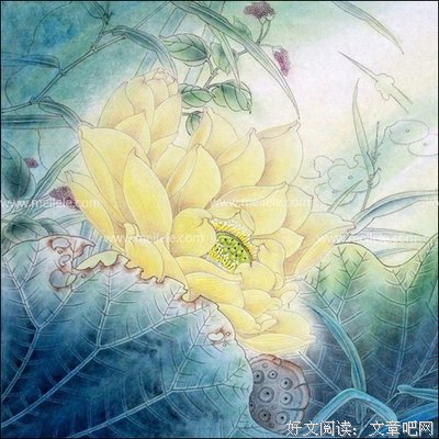 宅小花座右铭