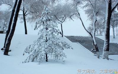 有关冬饮雪名言大全