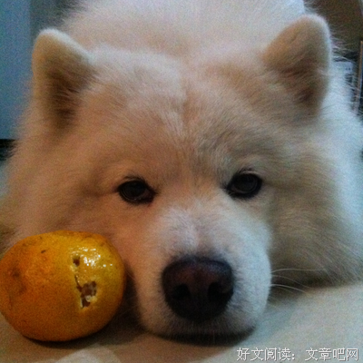 冷青衫精彩语录