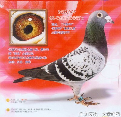 周裕千15句经典名言