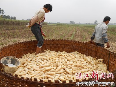 2018和菜头的名句