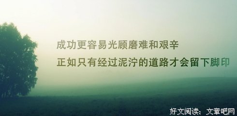 《柳禾语录》经典名句大全