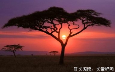 最经典的《一颗苹果宣布成为星球》名句欣赏