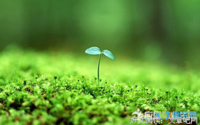 《朝露终相逢》语录摘抄